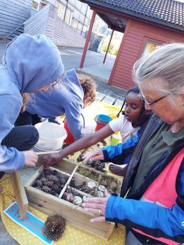 Insektshotellet under bygging..